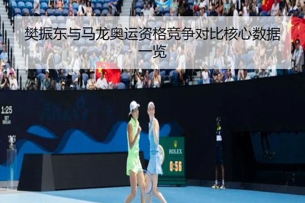 樊振东与马龙奥运资格竞争对比核心数据一览